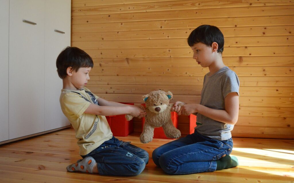 Dois meninos sentados no chão puxando o mesmo urso de pelúcia em direções opostas